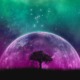 astrologia